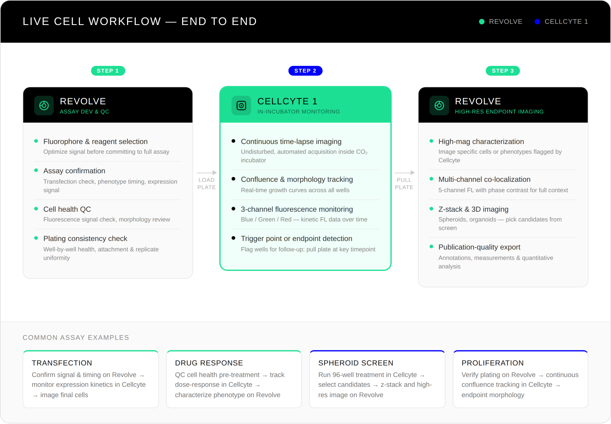 Live-Cell Bundle Workflow - Discover Echo